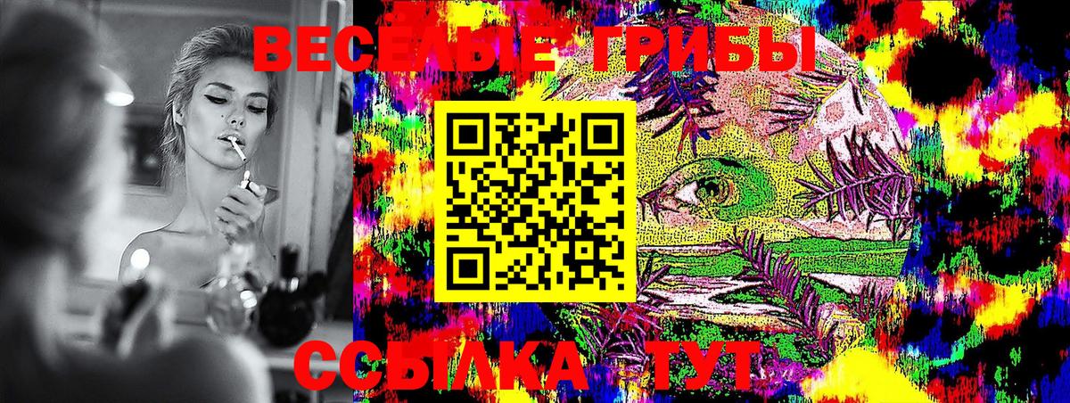 Шадринск  Галлюциногенные грибы Cubensis  Псилоцибиновые грибы Psilocybe  Вход с VPN 